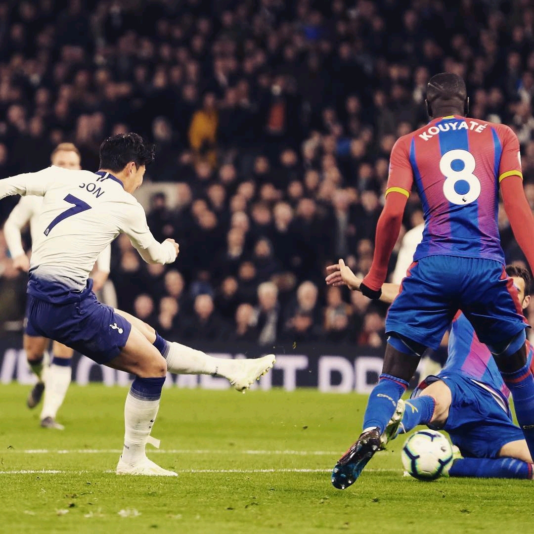 陆的海洋生 陆的海洋生